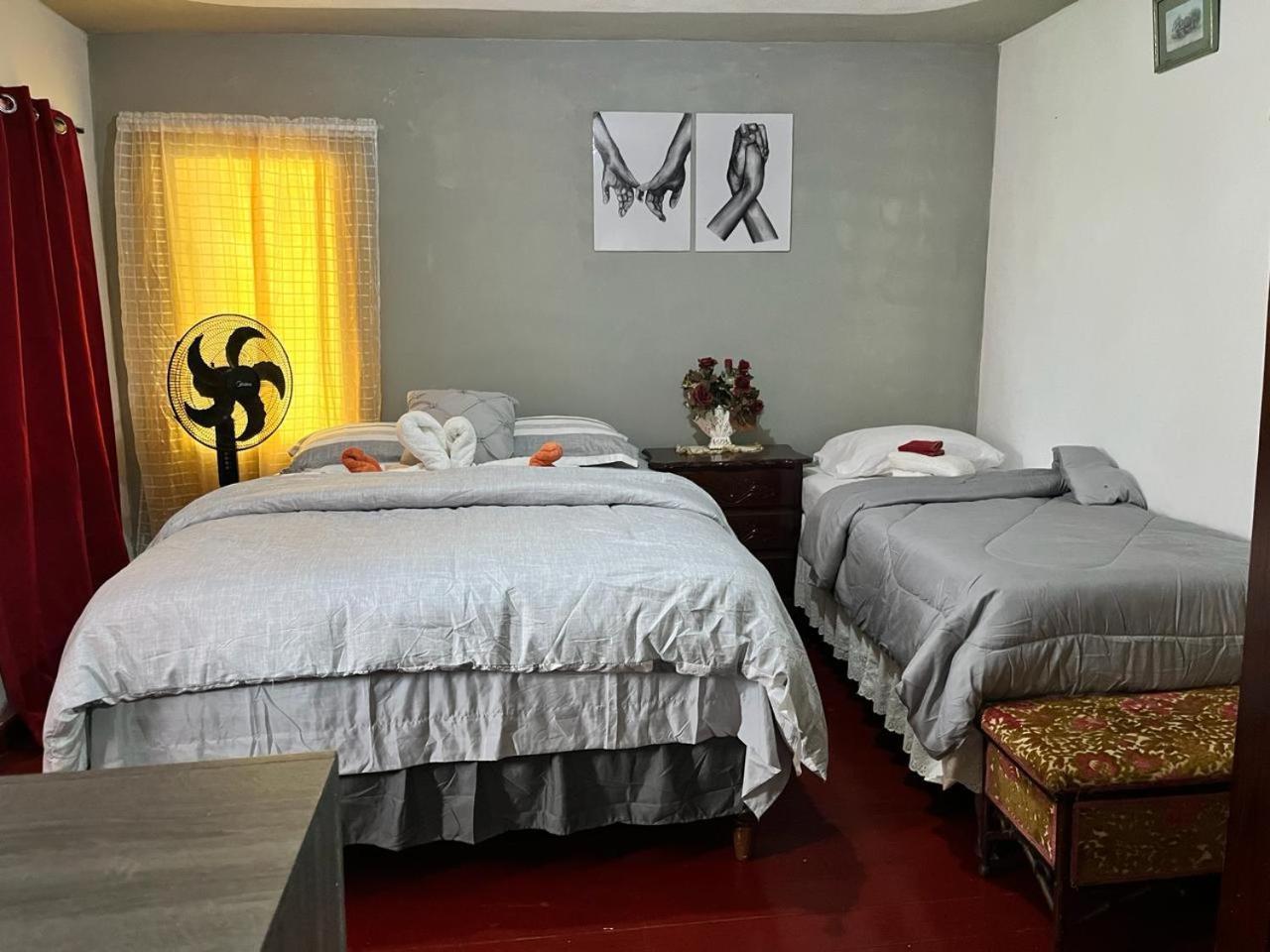 Nine Miles Cultural Hangouts&Tours Stepney Extérieur photo