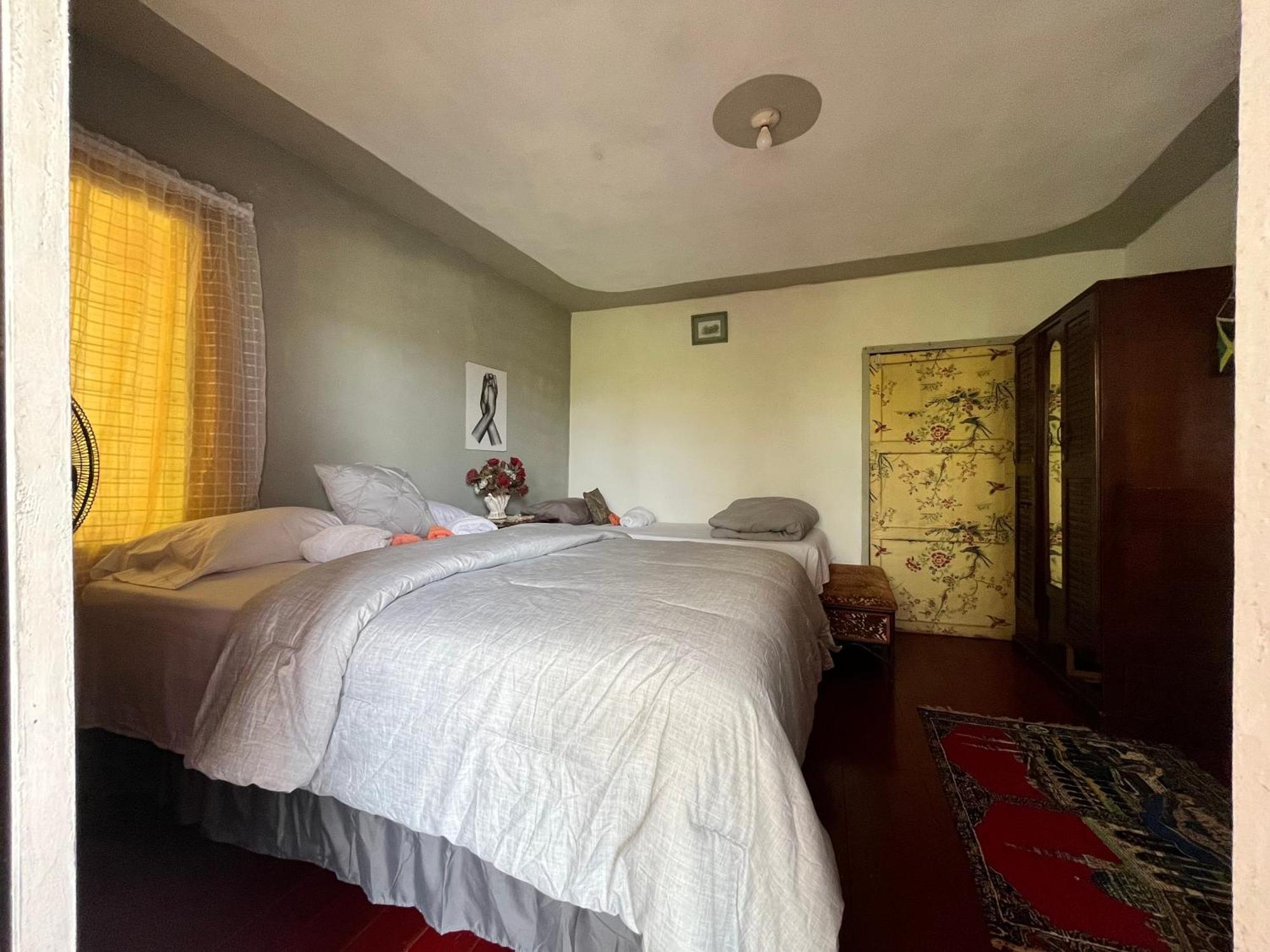 Nine Miles Cultural Hangouts&Tours Stepney Extérieur photo
